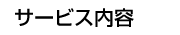 スリーエフ・ラインのサービス内容